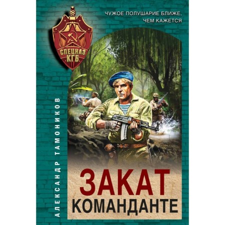 Sunset commandante. Tamonikov A.A.