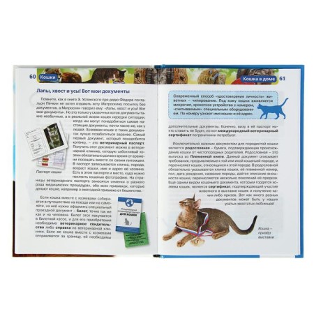 Children's Encyclopedia "Cats"-4