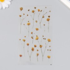 Stickers for creativity plastic 