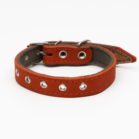 Collar combined leather/tarpaulin, dimensionless, 54 x 2.5 cm, Osh 17-45 cm, red