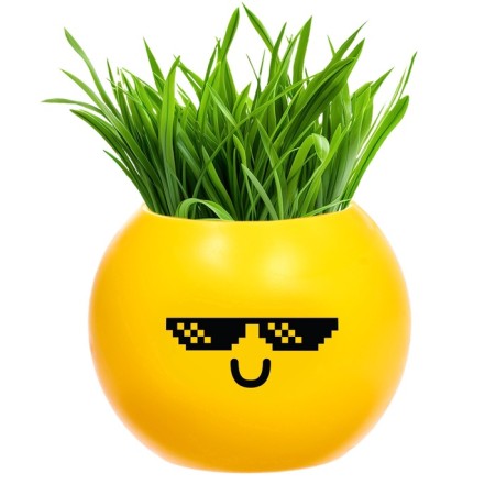 A set for experiments, for children “grow grass”, a plant in a pot - Emoji “Cool”-4