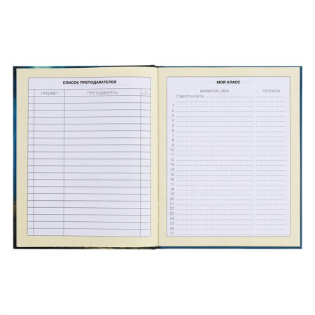 Diary for grades 1-4, solid cover "Bunny", matte lamination, selective varnish, block 60 g/m2-6