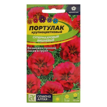 Flower seeds of the purslane "Superman", cherry, seed. Alt, c/p, 0.1 g-2