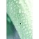 Unrealistic vibrator Satiffyer Air Pump Bunny 5, silicone, green, 15 cm