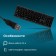 COLLECTER RIGHT 120M Black USB
