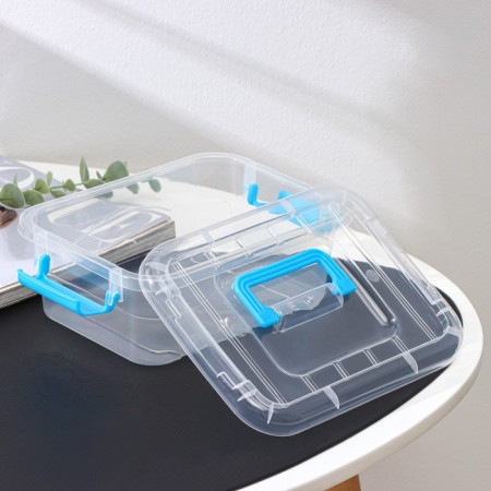 The storage container is plastic, a cover with a handle on a latch 19 × 15 × 6.8 cm, color mix-4