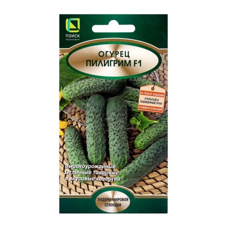 Seeds Cucumber Pilgrim, F1, 12pcs