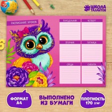 Расписание уроков "Сова" А4