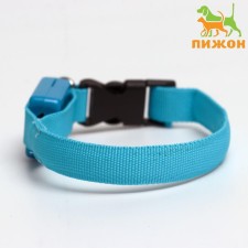 The collar luminous narrow for small dogs, 26 x 1.5 cm, blue