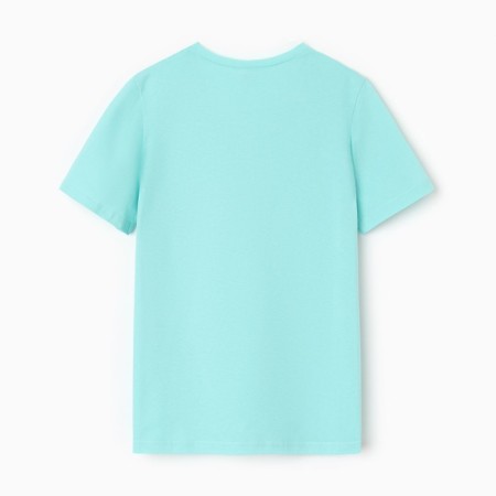 Women's T-shirt V-shaped neckline, mint color, size 44-3