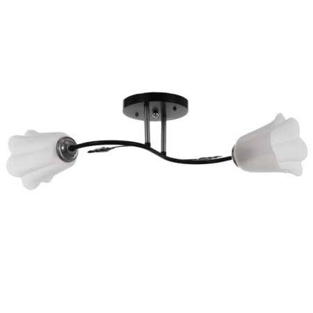 Lily chandelier (flower) 2x15W E27 Model: BR 00253 Black/Transparent