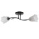 Lily chandelier (flower) 2x15W E27 Model: BR 00253 Black/Transparent