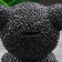 The piggy bank "Bear in the jacket" is black, gold, 19 cm