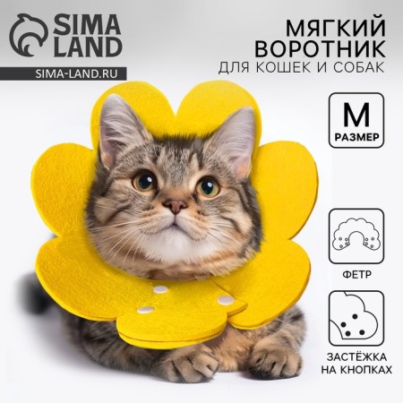 Soft collar for animals Fetter, yellow cent, size m