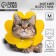 Soft collar for animals Fetter, yellow cent, size m
