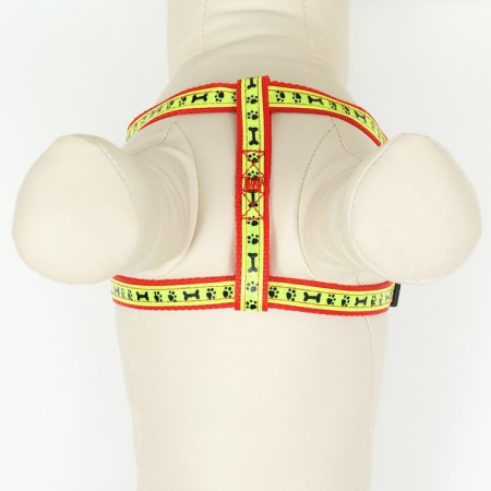 The “Bones and Paws” set of a reflective, leash 120 x 1.5 cm, OG 36-52 cm, red-3
