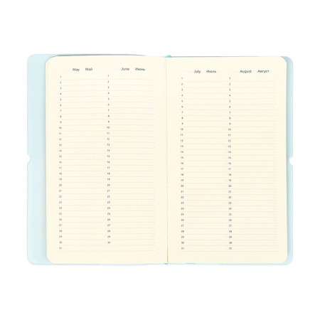 PROVINARY NOT LEARNED, 80 sheets, 100x170 mm, Devente.Jane, soft cover of PVC, elastic band, perforation, liesse, block 70%, blue-10
