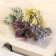 Bouquet "Two -color grass" with spraying, 18 cm, mix