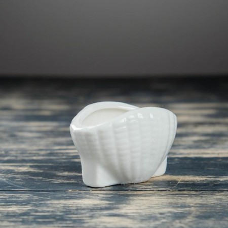 Set of Kashpo "Shell" 6pcs, 8x6x8cm, White-4