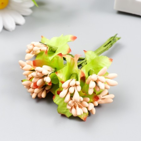 Flowers for decorating "Jasminovid oxen" 1 bouquet = 10 flowers peach 9.5 cm-1