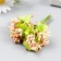 Flowers for decorating "Jasminovid oxen" 1 bouquet = 10 flowers peach 9.5 cm