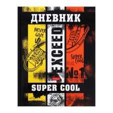 Universal diary for grades 1-11 super cool!, Firm cover, glossy lamination, 40 sheets
