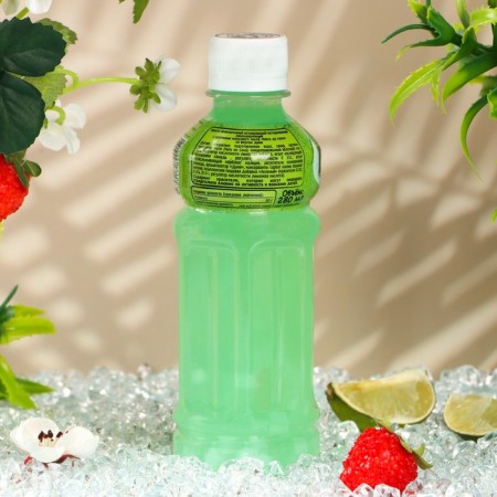 DREE DE COCO is not carbonated with pieces of coconut jelly and melon, 280 ml-1