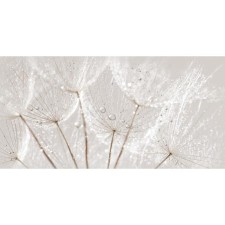 Decor Avangarde Gray 598x298