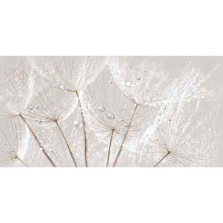 Decor Avangarde Gray 598x298