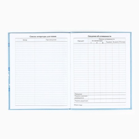 School diary for grade 1-11, in an integrated cover, 40 l. "Panda"-3