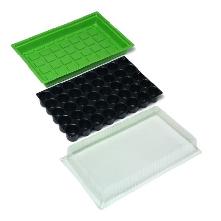 Mini-Pirate for seedlings, 57 × 36 × 13.5 cm, 1 insert, 40 cells, Greengo-1