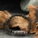 Bracelet from lava with bead Ji "Five Eye" No. 2