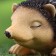 Garden figure "Hedgehog is heating" 18x10x10cm ////