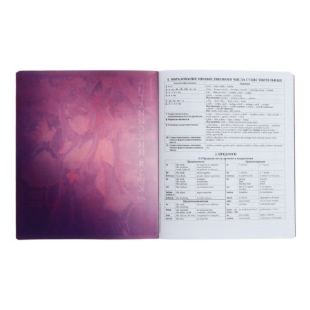 Subject notebook, 48 sheets, cage, English, Erichkrause "Manga", cardboard cover Twin-LK, OFSET BELICE 100%, info block-2