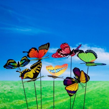 Plug "butterfly octavia" 8x10cm/25cm, mix-2