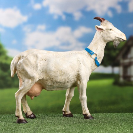 Garden figure "Goat with horns" 38x42cm-3
