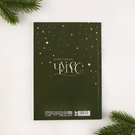 New Year. Diary-planning “Believe in Dream”, A5, 80 liters.-3