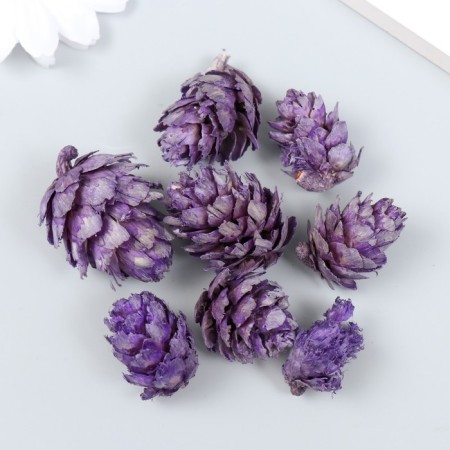 Decor for creativity "Pine violet bump" size 2-4 cm-3