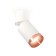 Ambrella Light, Techno, XM6312045, GU5.3, white sand color, white, white