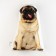 Decorative Ethel pillow "Pops" 29x40 cm, velor, 100% p/e