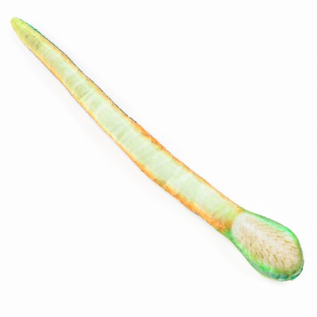 Soft toy "Snake", green, realism-3