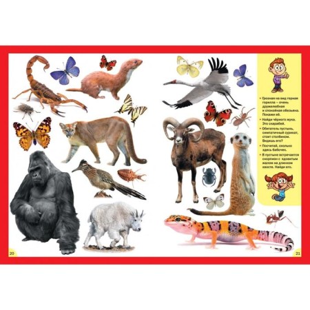 Animals. For children from 3 to 6 years old-3