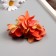 A bud on the leg for decorating "Fials Pink" d = 5 cm, h = 10 cm