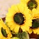 Artificial flowers "Sunflower Florinda" 16x94 cm