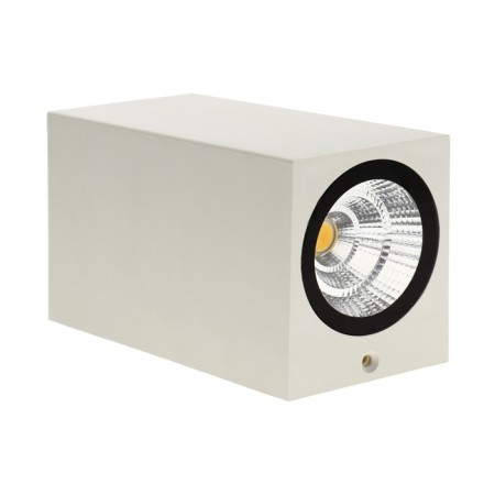 Facade lamp "Glish", FSD-034, 10 W, 3000K, IP65, 220 V, plastic, white-5