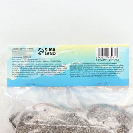 Lilia hybrid "Olympic Torsch", district 14/16, 2 pcs.-3