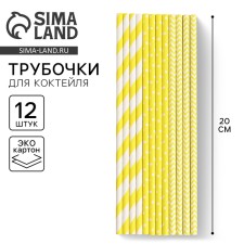 Paper tubes 12 pcs 