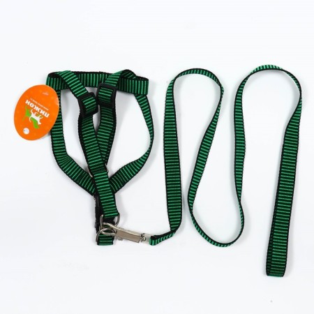 Acunition set is embossed, leash 120 x 2 cm, og 44-50 cm, green-black-6