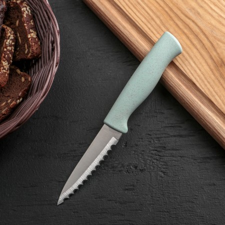 Knife for cleaning the fish "Ringo", a gear blade 9 cm, color mix