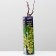 Grape seedling Kishmish No. 342, spring 2024, 1 pc.